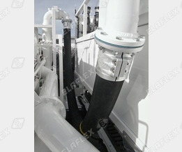 Hose Assemblies with Flange - Elapac seals Hose Assemblies with Flange - Elapac seals