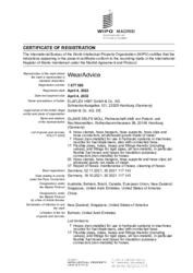 Certification of Registration WearAdvice
(Wipo)