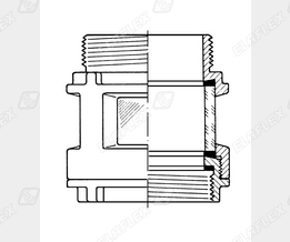 SG4 Rg Schnitt SG4 Rg Schnitt